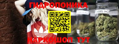 твердый Краснознаменск