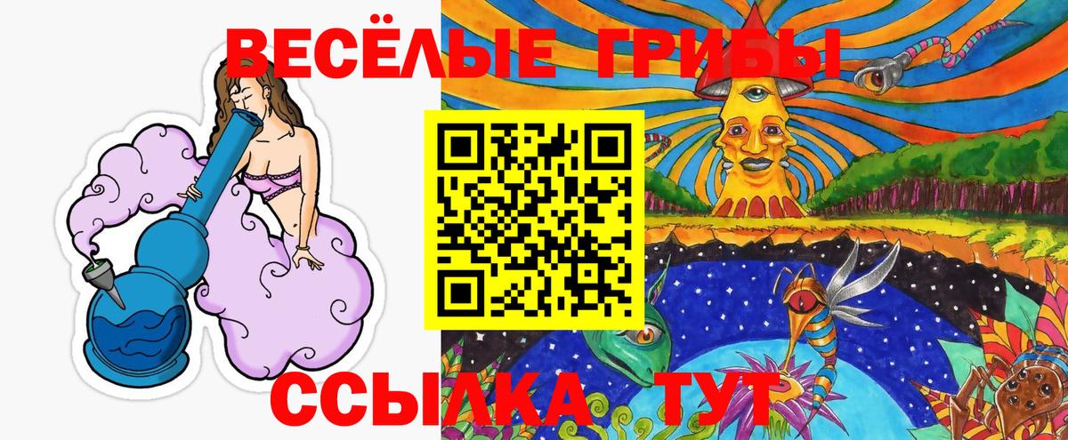 Псилоцибиновые грибы мицелий  Вход с VPN  Елабуга 
